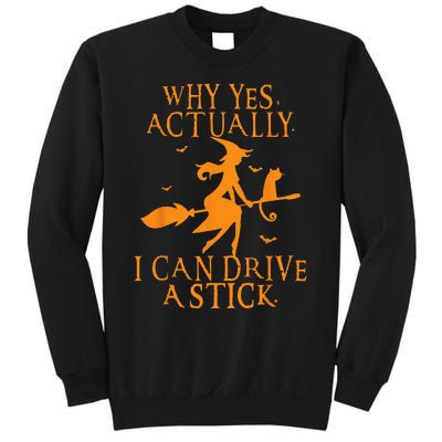 Why Yes Actually I Can Drive A Stick Halloween Witch & Cat Sweatshirt