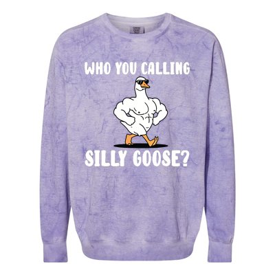 Who You Calling Silly Goose Funny Gym Meme Colorblast Crewneck Sweatshirt