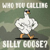 Who You Calling Silly Goose Funny Gym Meme Legacy Tie Dye Trucker Hat