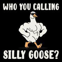 Who You Calling Silly Goose Funny Gym Meme Cropped Pullover Crew