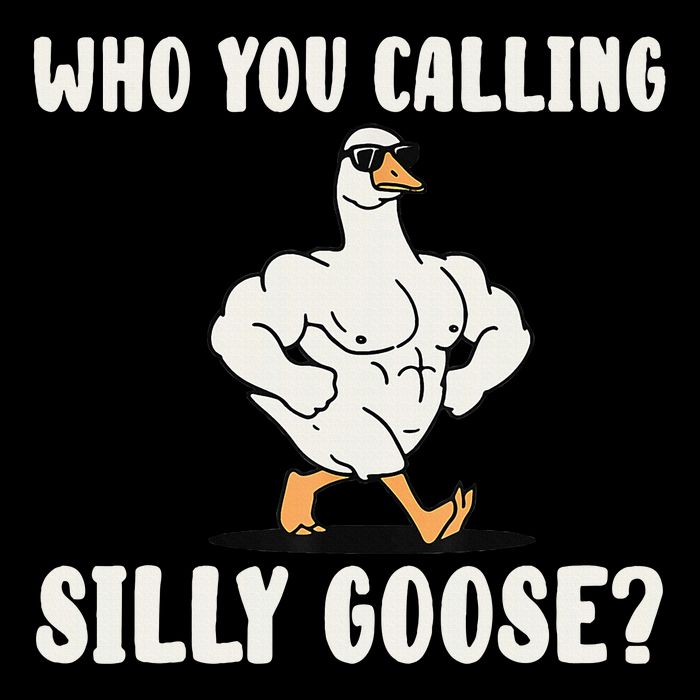 Who You Calling Silly Goose Funny Gym Meme Cropped Pullover Crew