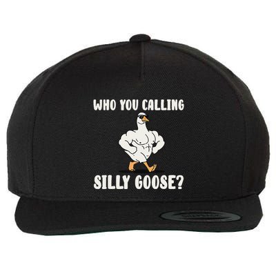 Who You Calling Silly Goose Funny Gym Meme Wool Snapback Cap
