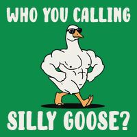 Who You Calling Silly Goose Funny Gym Meme Magnet