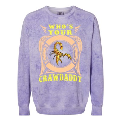 Who's Your Crawdaddy Crawfish Mardi Gras Gift Colorblast Crewneck Sweatshirt