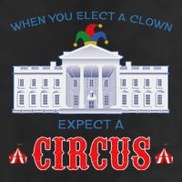 When You Elect A Clown Expect A Circus Anti Trump Adult Drive Performance Visor