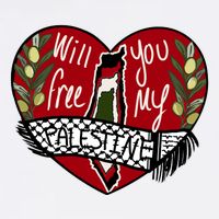Will You Free My Palestine Adult Drive Performance Visor
