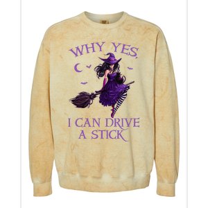 Why Yes I Can Drive A Stick Funny Halloween Witch Colorblast Crewneck Sweatshirt