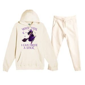 Why Yes I Can Drive A Stick Funny Halloween Witch Premium Hooded Sweatsuit Set