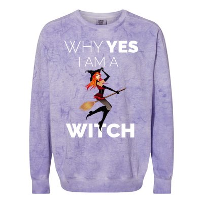 Why Yes I Am The Witch Halloween Novelty Art Meme Great Gift Colorblast Crewneck Sweatshirt