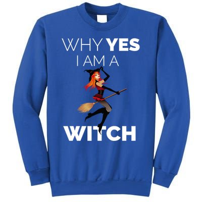 Why Yes I Am The Witch Halloween Novelty Art Meme Great Gift Sweatshirt