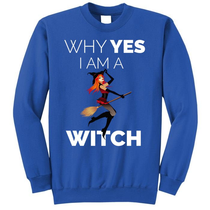 Why Yes I Am The Witch Halloween Novelty Art Meme Great Gift Sweatshirt