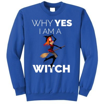 Why Yes I Am The Witch Halloween Novelty Art Meme Great Gift Tall Sweatshirt