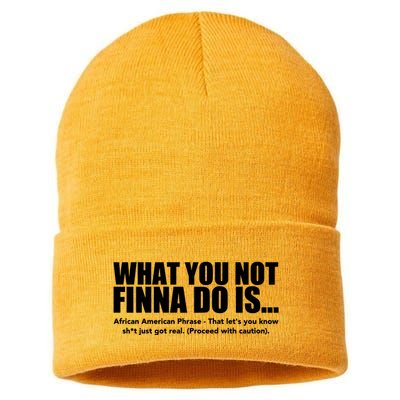 What You Not Finna Do Is Black Pride Sustainable Knit Beanie