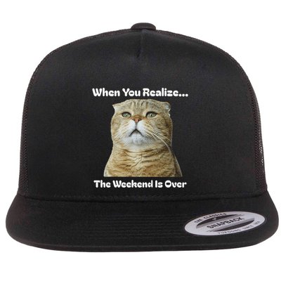 When You Realize The Weekend Is Over Cat & Funny Meme Cat .Png Flat Bill Trucker Hat