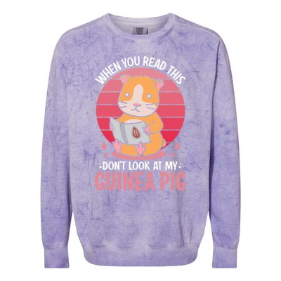 When You Read This Dont Look At My Guinea Pig Colorblast Crewneck Sweatshirt