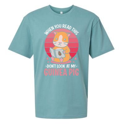 When You Read This Dont Look At My Guinea Pig Sueded Cloud Jersey T-Shirt