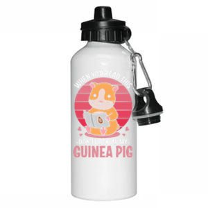 When You Read This Dont Look At My Guinea Pig Aluminum Water Bottle 