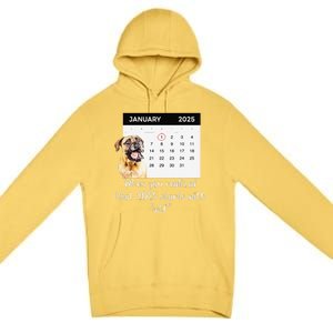 When You Realized That 2025 Starts With Wtf Meme 2025 Premium Pullover Hoodie