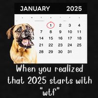 When You Realized That 2025 Starts With Wtf Meme 2025 Ladies PosiCharge Tri-Blend Wicking Tank