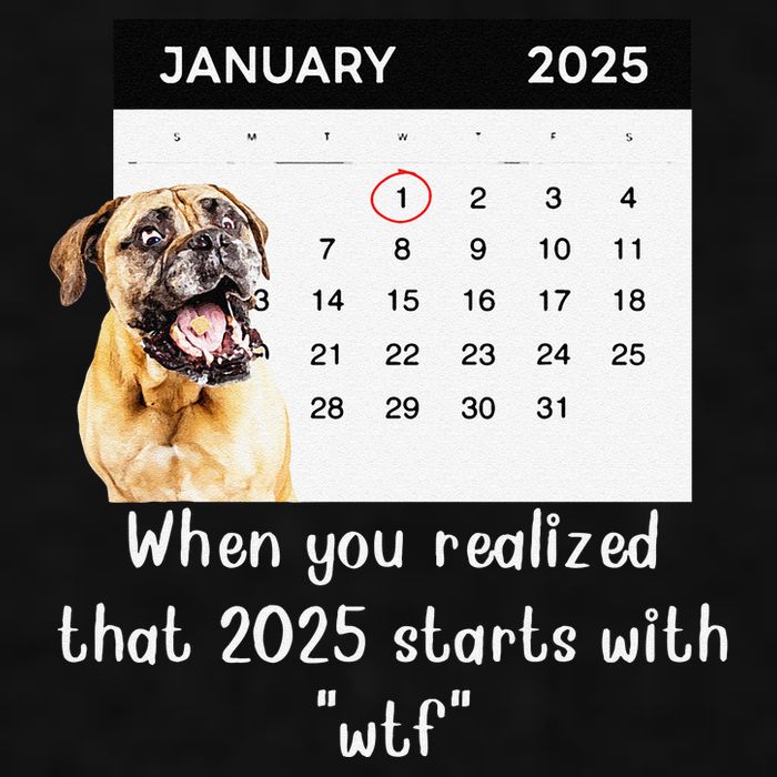When You Realized That 2025 Starts With Wtf Meme 2025 Ladies PosiCharge Tri-Blend Wicking Tank