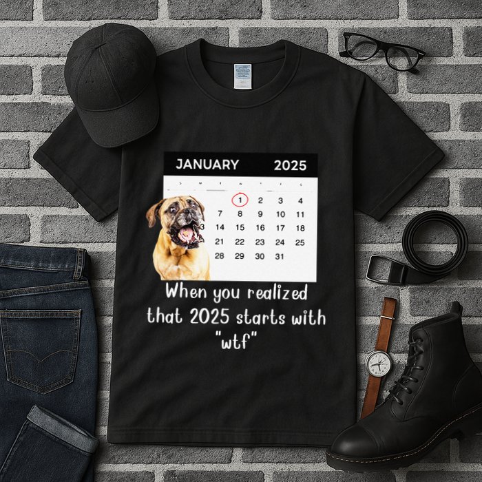 When You Realized That 2025 Starts With Wtf Meme 2025 Tall T-Shirt
