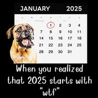 When You Realized That 2025 Starts With Wtf Meme 2025 7-Panel Snapback Hat