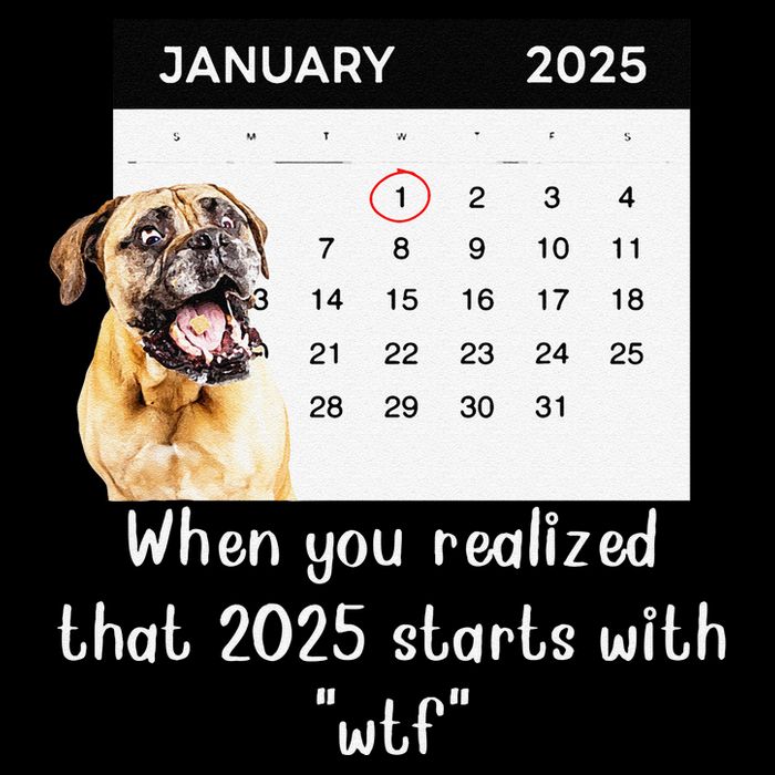 When You Realized That 2025 Starts With Wtf Meme 2025 Bucket Hat