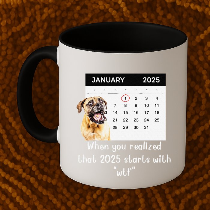 When You Realized That 2025 Starts With Wtf Meme 2025 Mug