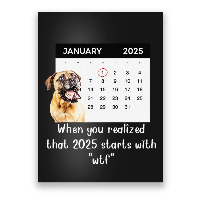 When You Realized That 2025 Starts With Wtf Meme 2025 Poster