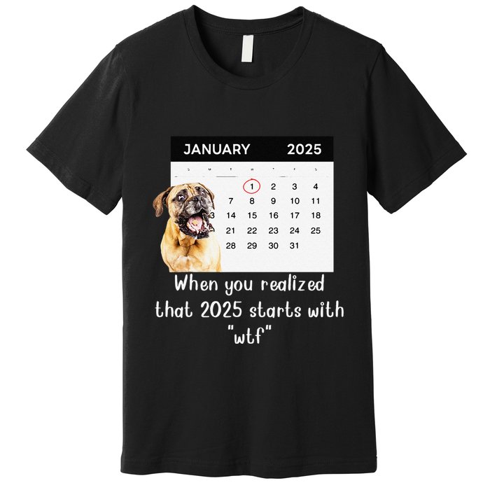 When You Realized That 2025 Starts With Wtf Meme 2025 Premium T-Shirt