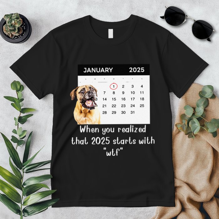 When You Realized That 2025 Starts With Wtf Meme 2025 Premium T-Shirt