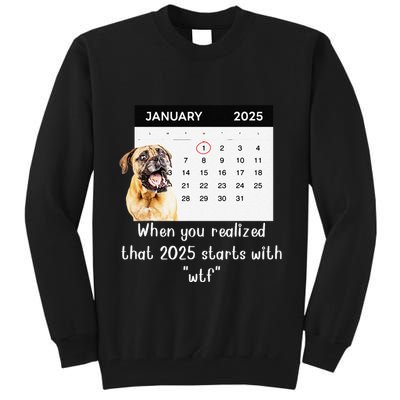 When You Realized That 2025 Starts With Wtf Meme 2025 Tall Sweatshirt