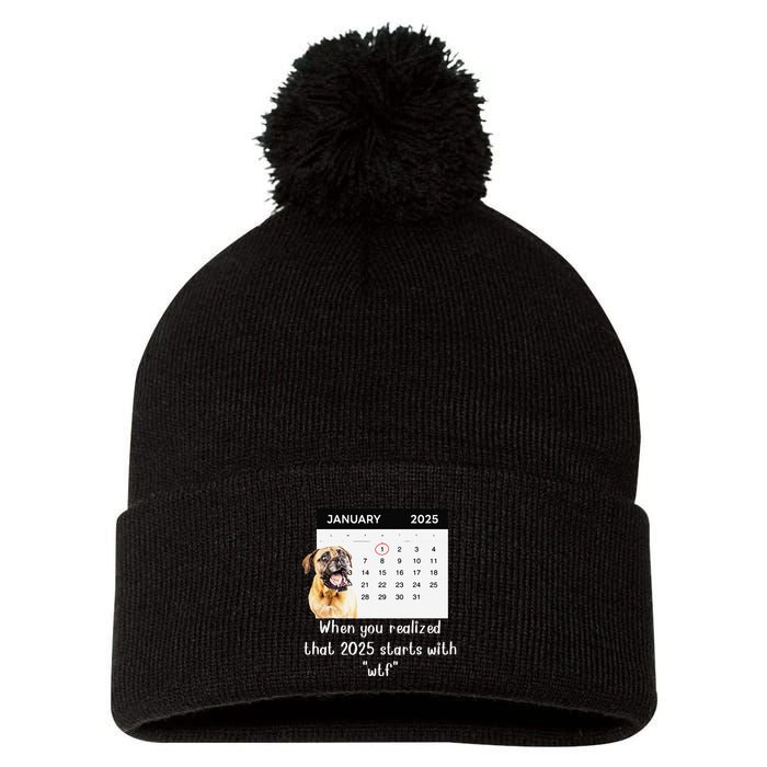 When You Realized That 2025 Starts With Wtf Meme 2025 Pom Pom 12in Knit Beanie