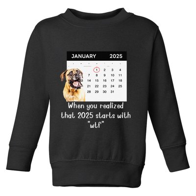 When You Realized That 2025 Starts With Wtf Meme 2025 Toddler Sweatshirt