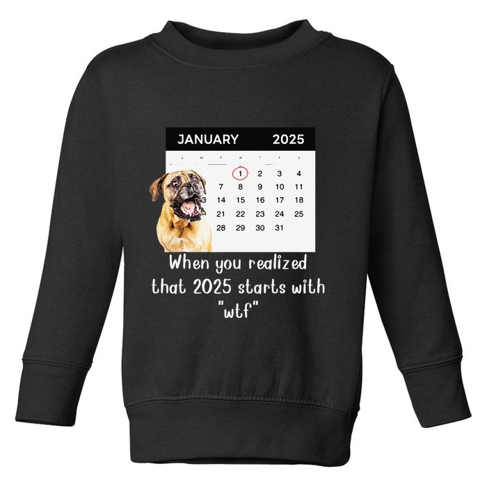 When You Realized That 2025 Starts With Wtf Meme 2025 Toddler Sweatshirt
