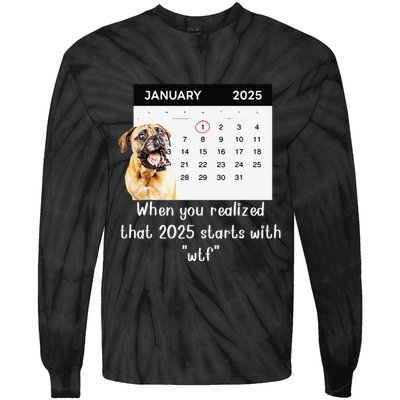 When You Realized That 2025 Starts With Wtf Meme 2025 Tie-Dye Long Sleeve Shirt