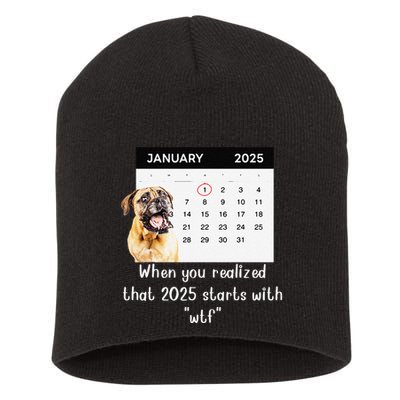When You Realized That 2025 Starts With Wtf Meme 2025 Short Acrylic Beanie