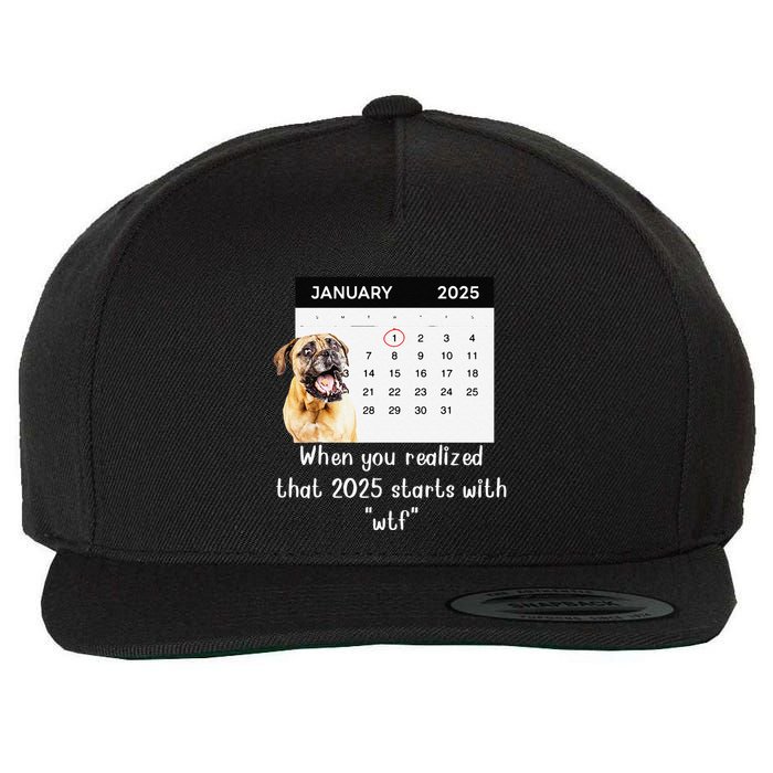 When You Realized That 2025 Starts With Wtf Meme 2025 Wool Snapback Cap