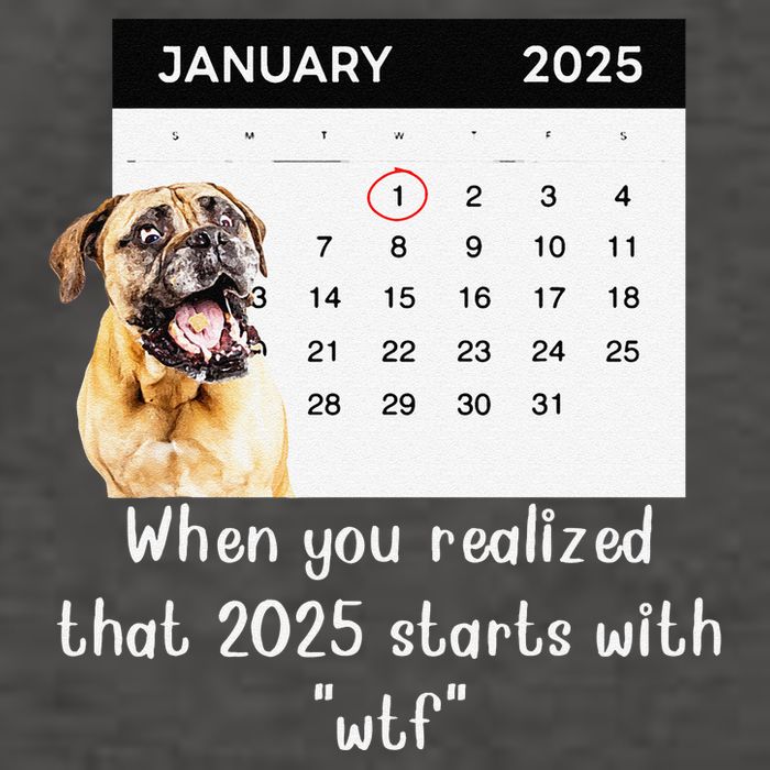 When You Realized That 2025 Starts With Wtf Meme 2025 Vector Backpack