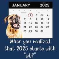 When You Realized That 2025 Starts With Wtf Meme 2025 Infant Baby Jersey Bodysuit