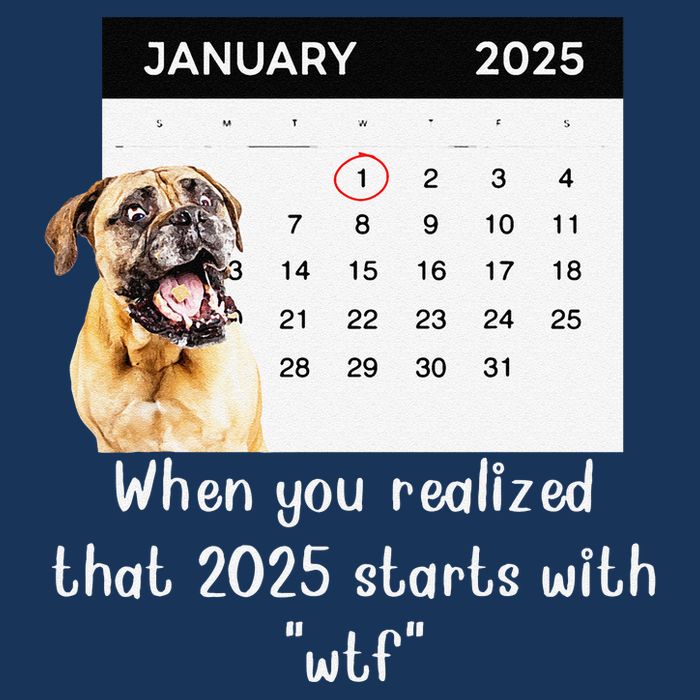 When You Realized That 2025 Starts With Wtf Meme 2025 Infant Baby Jersey Bodysuit
