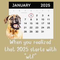 When You Realized That 2025 Starts With Wtf Meme 2025 Performance Shirt