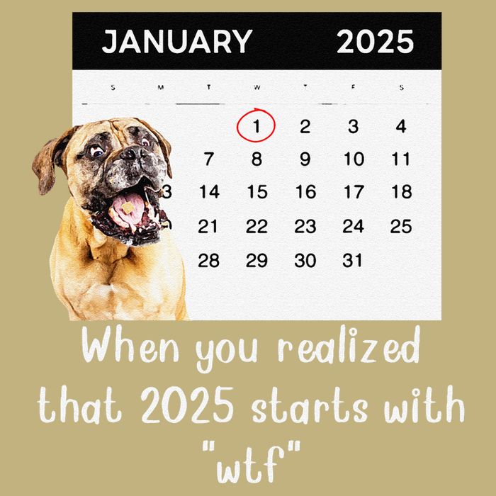 When You Realized That 2025 Starts With Wtf Meme 2025 Performance Shirt