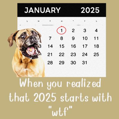 When You Realized That 2025 Starts With Wtf Meme 2025 T-Shirt