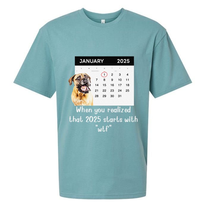 When You Realized That 2025 Starts With Wtf Meme 2025 Sueded Cloud Jersey T-Shirt
