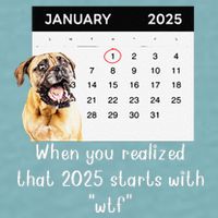 When You Realized That 2025 Starts With Wtf Meme 2025 Sueded Cloud Jersey T-Shirt