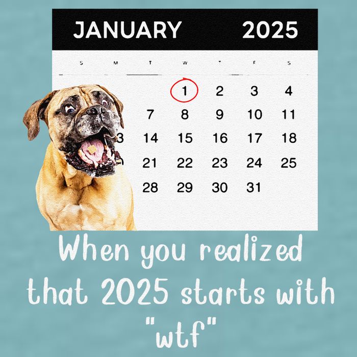 When You Realized That 2025 Starts With Wtf Meme 2025 Sueded Cloud Jersey T-Shirt