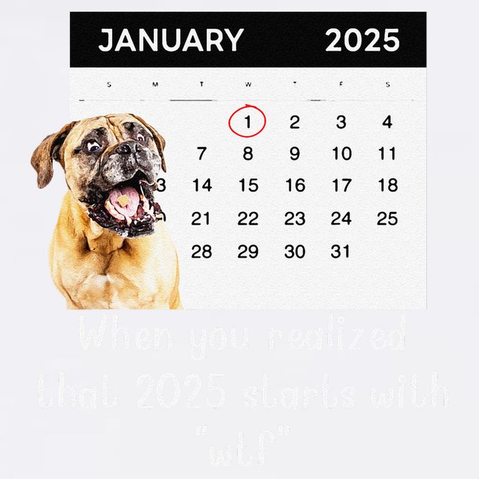 When You Realized That 2025 Starts With Wtf Meme 2025 Garment-Dyed Sweatshirt