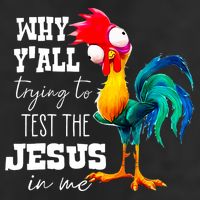 Why Yall Trying To Test The Jesus In Me Funny Rooster 15oz Campfire Ceramic Mug