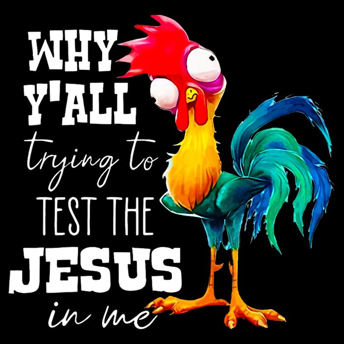 Why Yall Trying To Test The Jesus In Me Funny Rooster Flat Bill Trucker Hat
